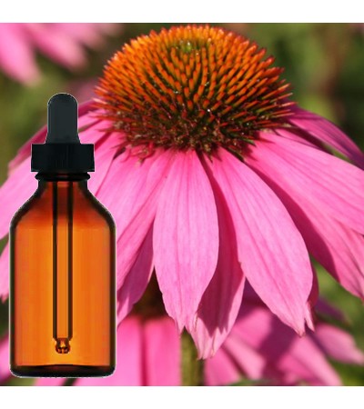 Echinacea Liquid Extract