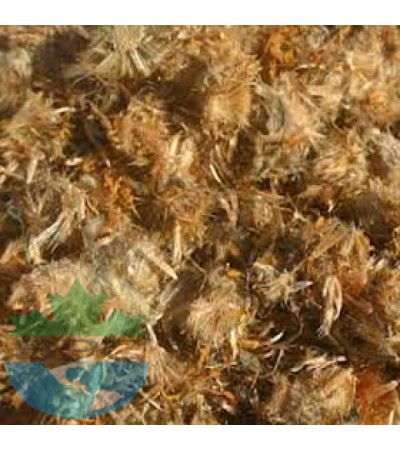 ARNICA FLOWER WHOLE (MEXICO)