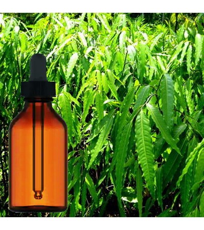 Ashoka Bark Liquid Extract