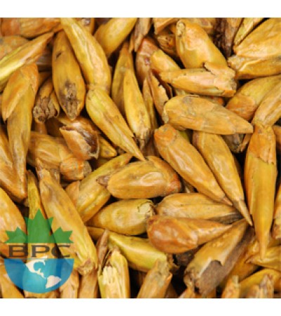 BALM OF GILEAD BUDS WHOLE