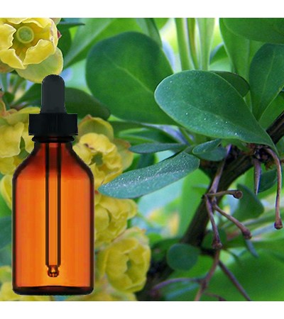 Barberry Liquid Extract 