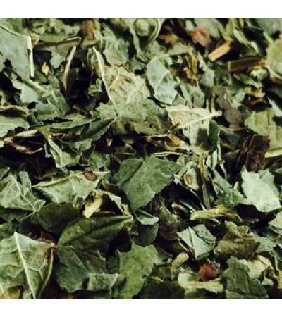 BLACK CURRENT LEAVES C/S