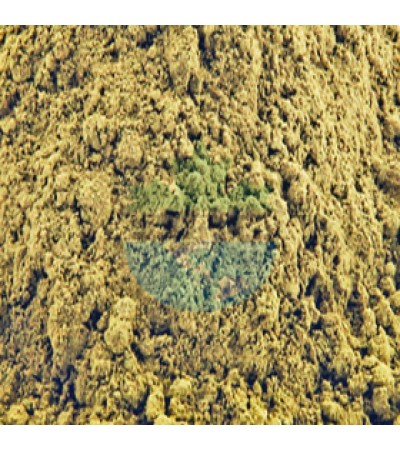 BLADDER WRACK POWDER