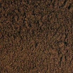 CELERY SEED POWDER