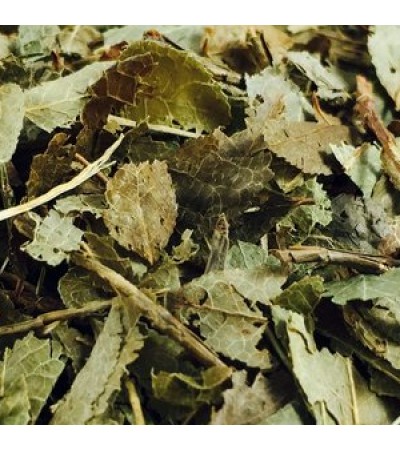 BLUE BERRY LEAVES C/S