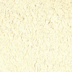 Gugal Gum P.E 10.1