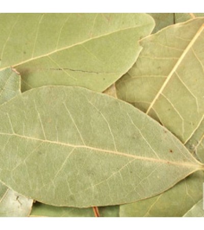 Bay Leaf Whole