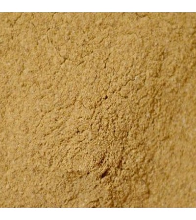 Angelica S.E Extract 1percent