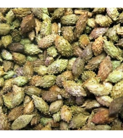 CANG ER ZI (COCKLEBUR)