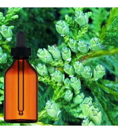Thuja Leafs Liquid Extract