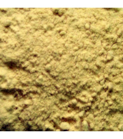 Celery Seeds P.E. 4:1