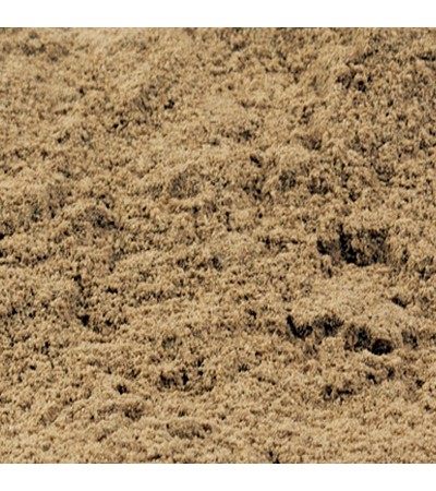 Pau d'Arco Bark P.E. 4:1