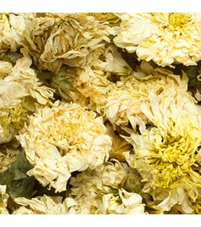 CHRYSANTHEMUM FLOWER WHOLE
