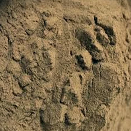 Uva Ursi Leaf P.E. 4:1