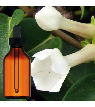 Condurango Bark Tincture