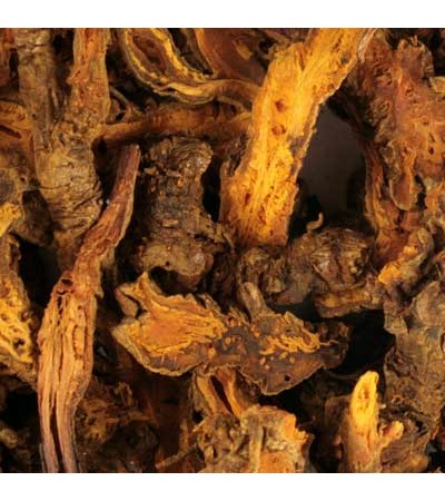 COPTIS SPECIES (GOLD THREAD)