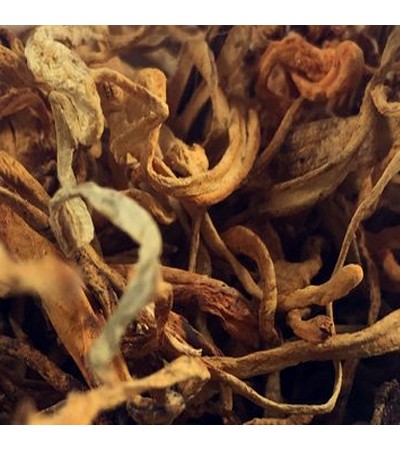CORDYCEPS WHOLE 