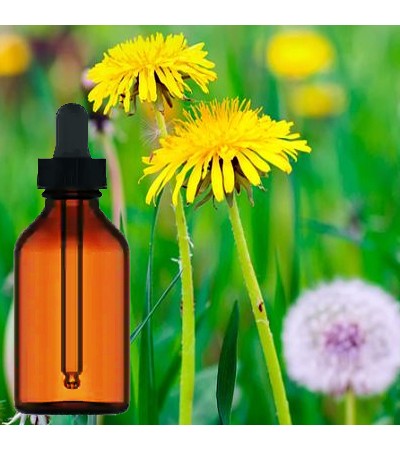 Dandelion Root Liquid Extract