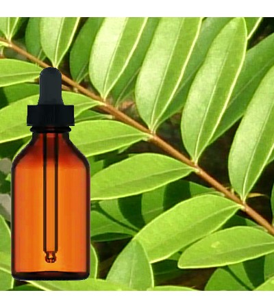 Tongkat Ali Root Liquid Extract