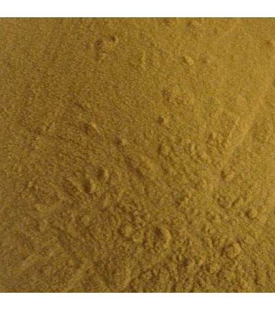 Echinacea Purpurea S.E 4percent