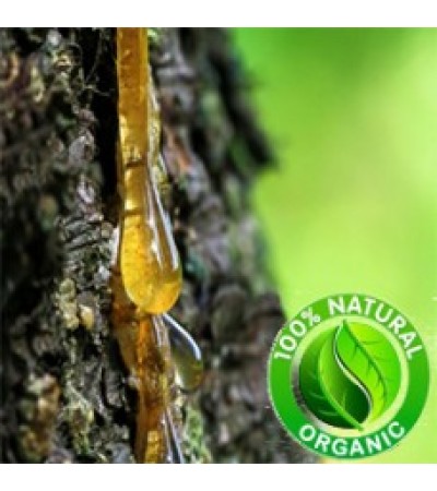 Frankincense Hydrosol Organic (CANADA)