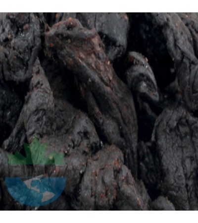 GARCINIA CAMBOGIA FRUIT