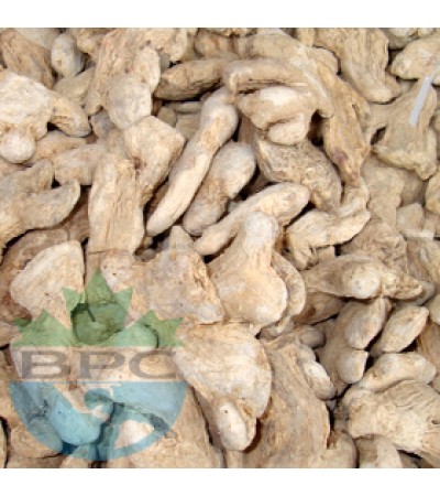 GINGER ROOT WHOLE
