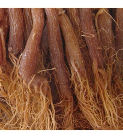 GINSENG PANAX KOREAN ROOT WHOLE