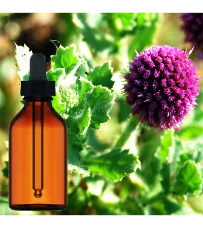 Gorakhmundi Liquid Extract