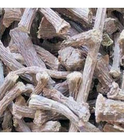 GUDUCHI AMRITA GILOY ROOT C/S