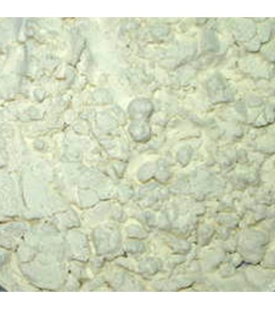 GUAR GUM POWDER
