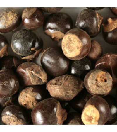 GUARANA SEED WHOLE