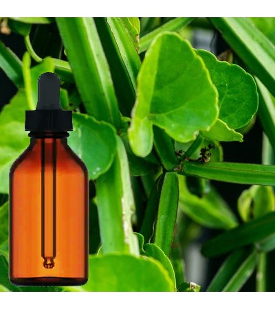 Hadjod Herbal Tincture