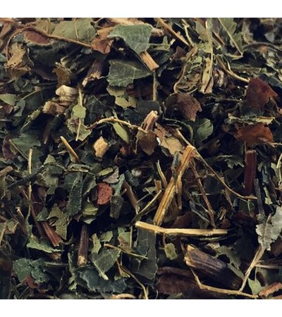 HORSE CHESTNUT LEAVES C/S