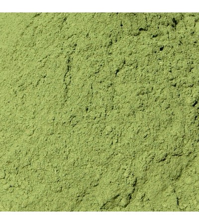 INDIGO LEAVES POWDER