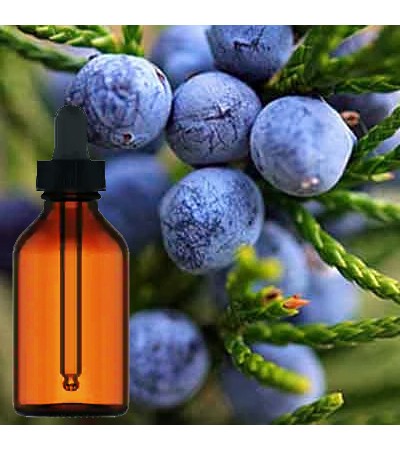 Juniper Berry Liquid Extract