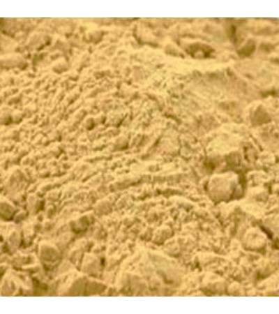 KATUJA POWDER (BITTER OLEANDER)