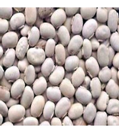 COWITCH (KAUNCH) SEED WHOLE