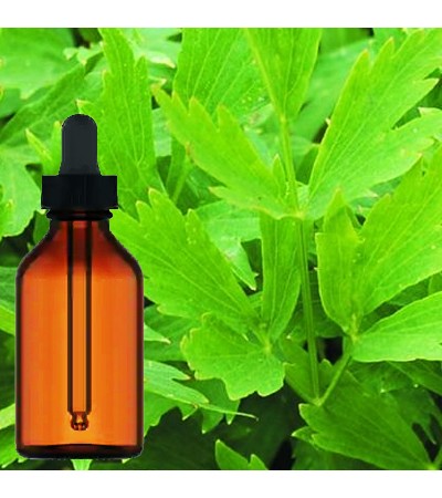 Lovage Root Tincture