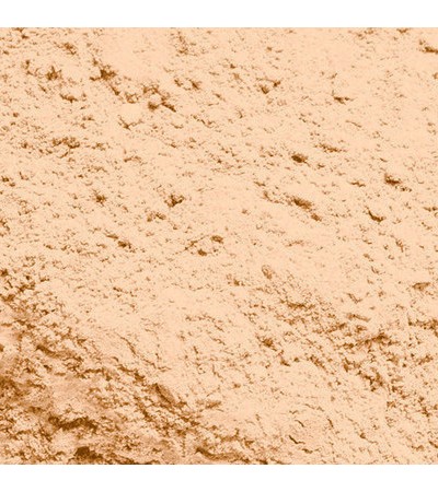 LUCUMA POWDER 
