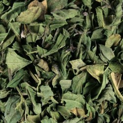 LEMON VERBENA LEAVES C/S