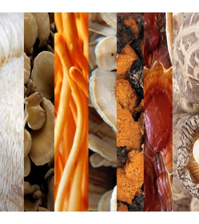 7-Mushrooms Cosmetic Extract