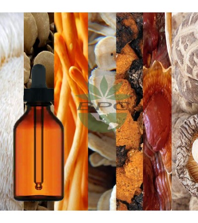 7-Mushroom Tincture