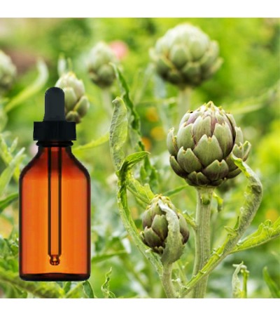 Artichoke Leaves Tincture 