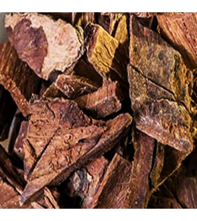 BIJASAR (BIJIYASAL) MALABAR KINO C/S