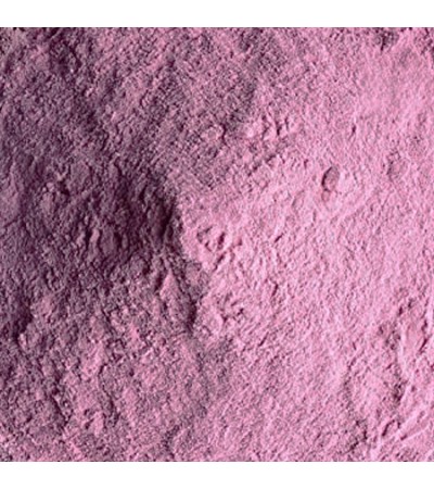 Blue Berry Fruit Powder