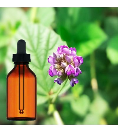 Babchi Psorelia Cordifolia Tincture