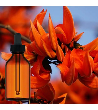 Butea Monosperma Tincture