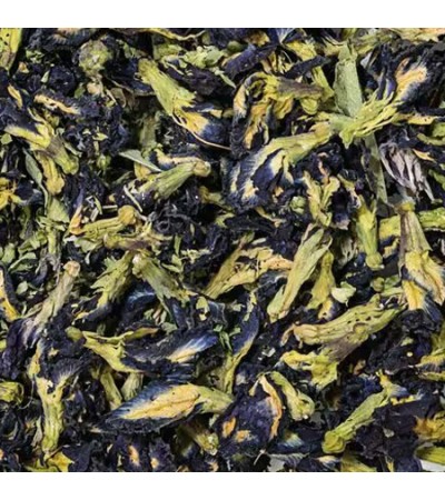 BUTTERFLY PEA FLOWER