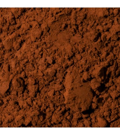 CHAGA MUSHROOM POWDER